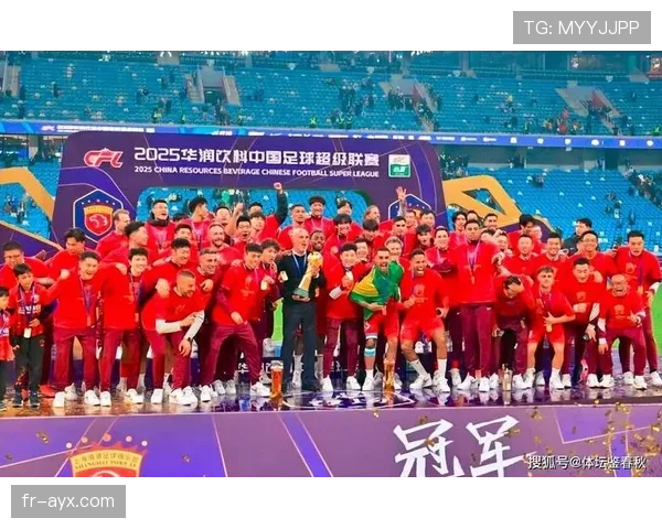 中超外援表现稳健,助力球队全力冲击新赛季荣誉 中超外援表现稳健,助力球队全力冲击新赛季荣誉