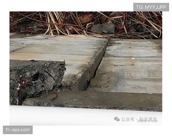 汉堡中路排水系统渗漏引市民担忧 专家呼吁紧急修复保障交通安全